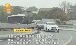 豪车车主爆料视频大全集,揭秘高端车圈幕后故事